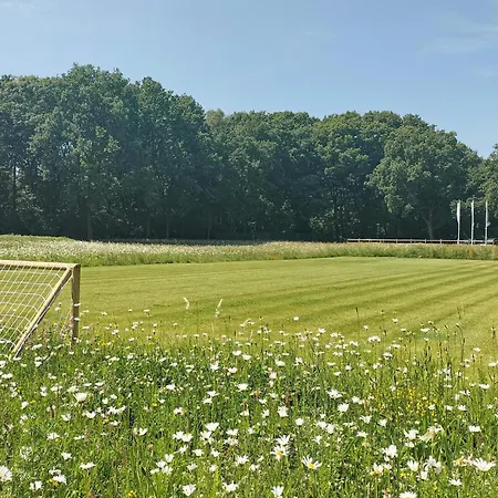 Сasa de vacaciones 2 Bedroom Pet Friendly In