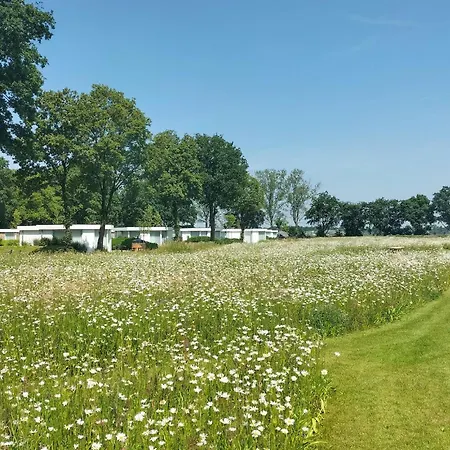 ładny Dom W Z Sauną Dom wakacyjny Afferden (Limburg)